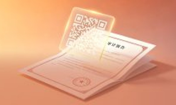 未赋码的审计报告，能否作为投标人财务状况的有效证明？