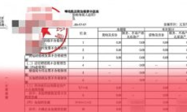 评标专家：”零申报不算”” 没有税务局的章 “，项目直接废标 —— 到底判对了吗？